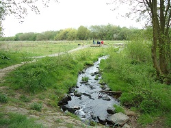 Wasserstelle Zum Glessener Bach – Bild 4