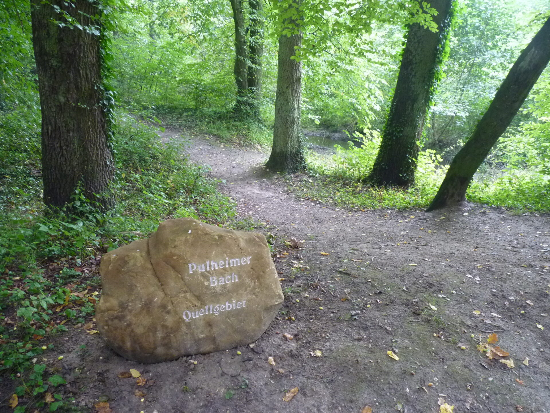 Wasserstelle Zum Glessener Bach – Bild 5