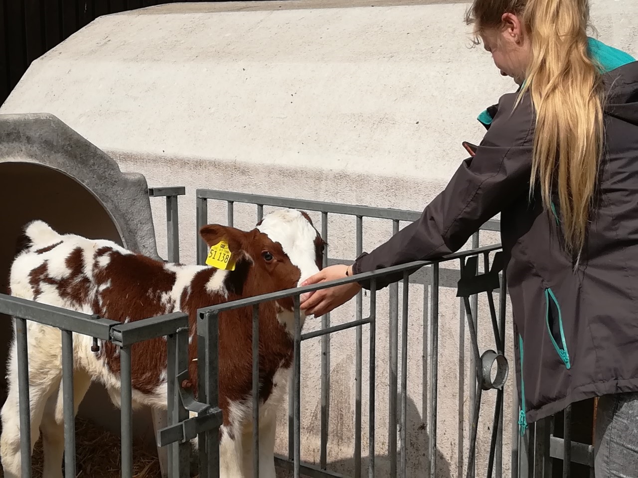 Hof Lahnau - Familie Ferdinand – Bild 4