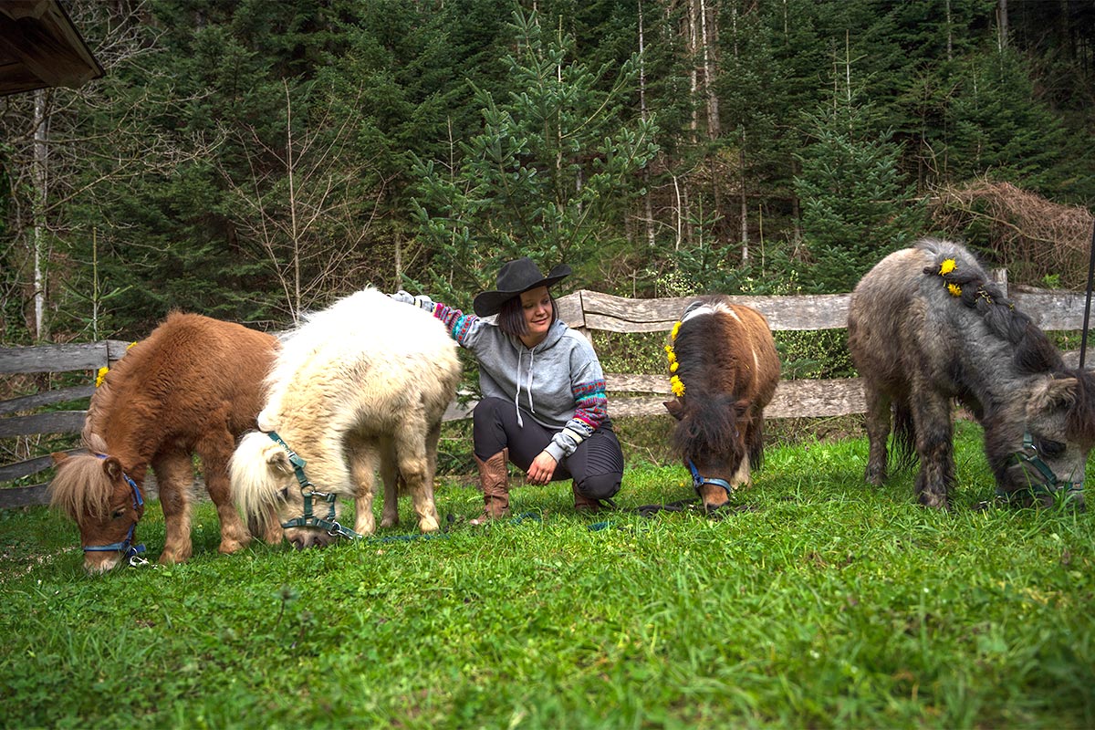 Friedershof - Familie Schnaiter – Bild 1