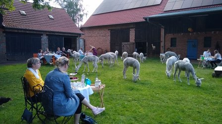 Hof Birkenkamp – Bild 1