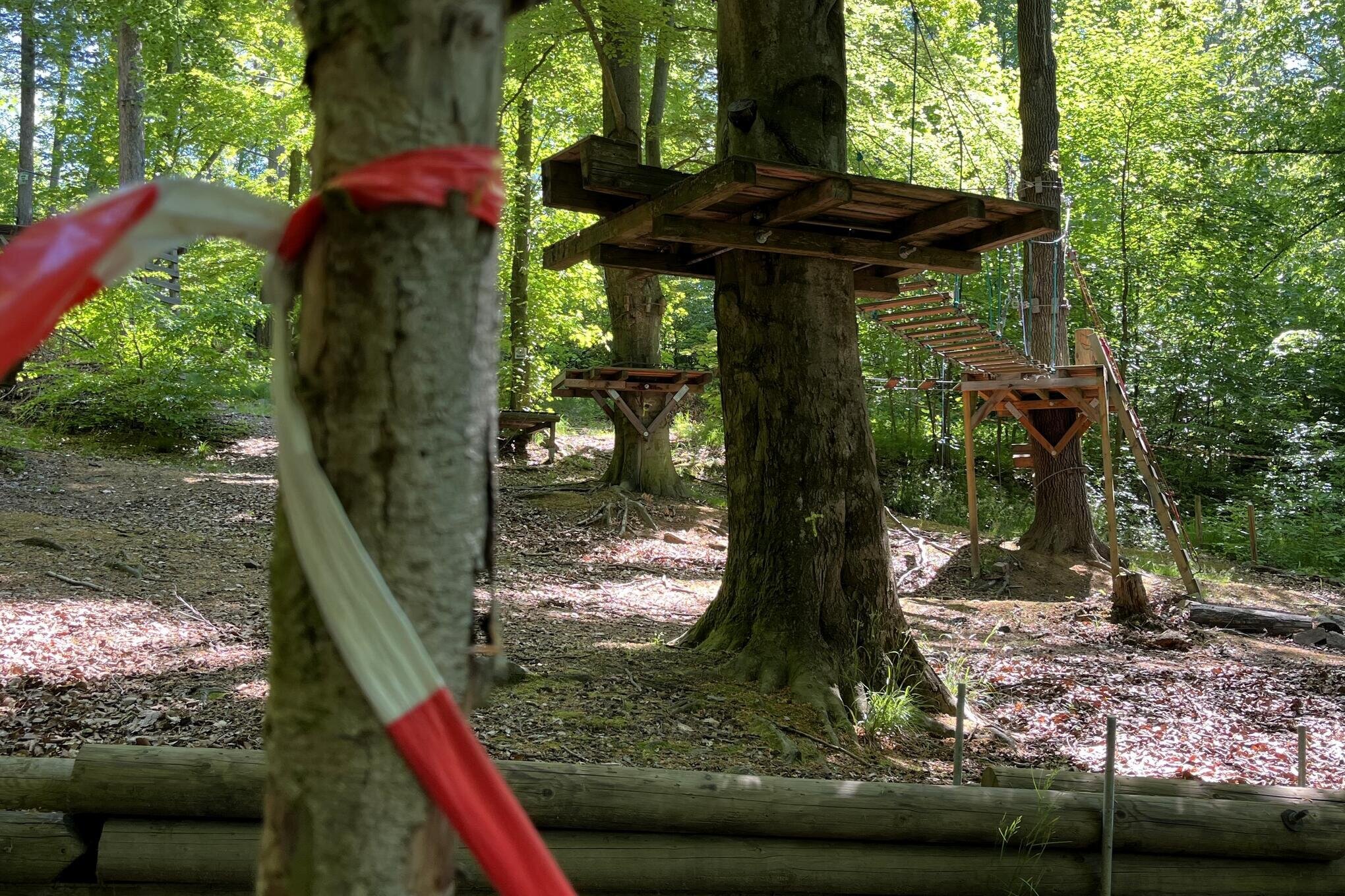 Kletterwald Kriebstein – Bild 5