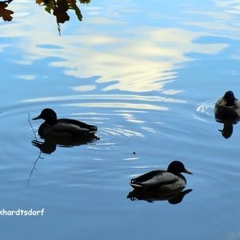 Stadtpark – Bild 3
