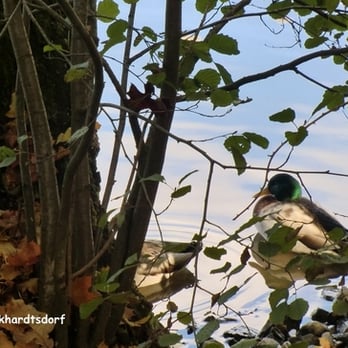 Stadtpark – Bild 4