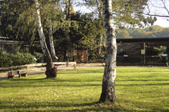 Greifvogelschutzstation Gut Leidenhausen – Bild 2