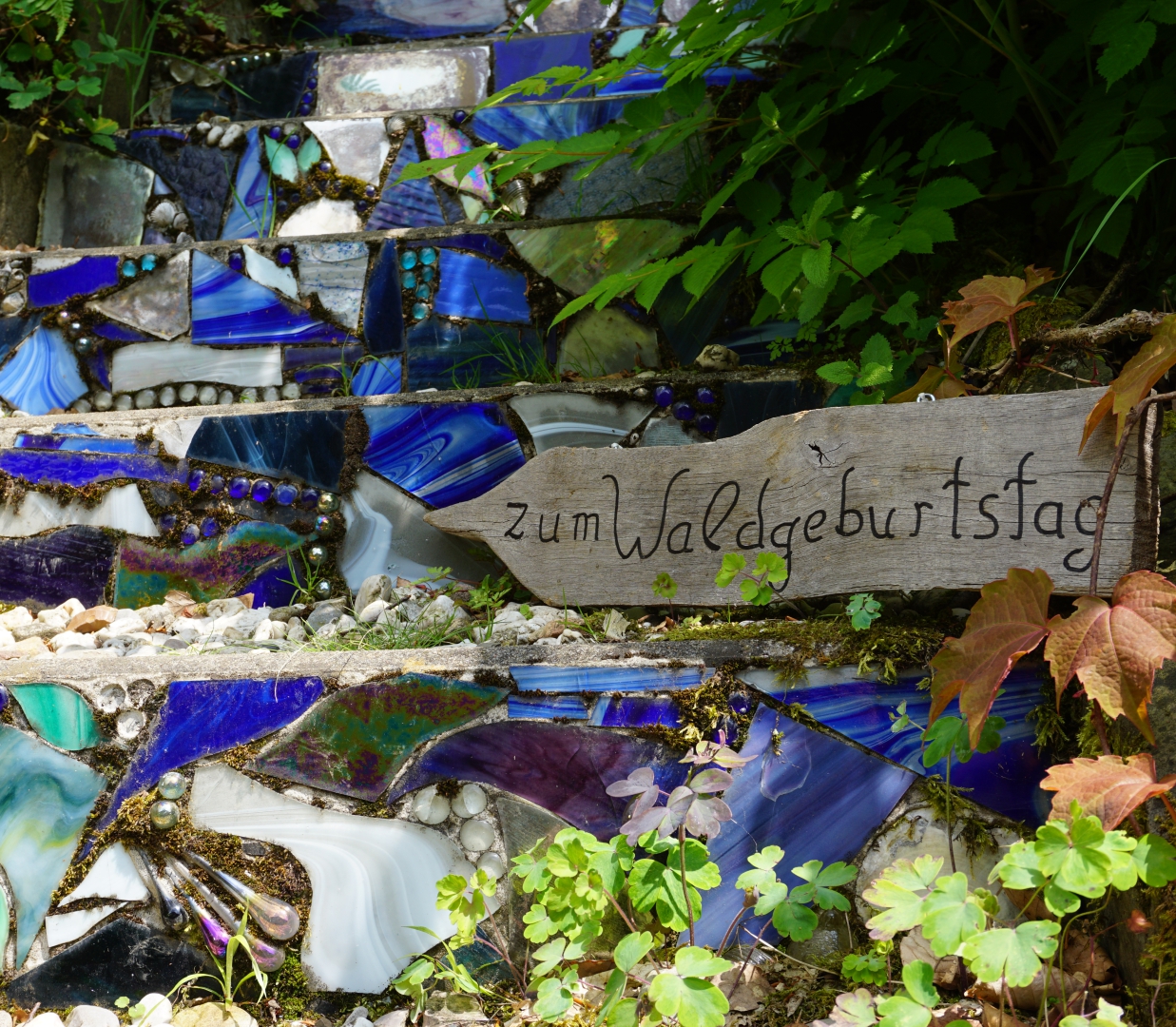 Kinderwald MK – Bild 5