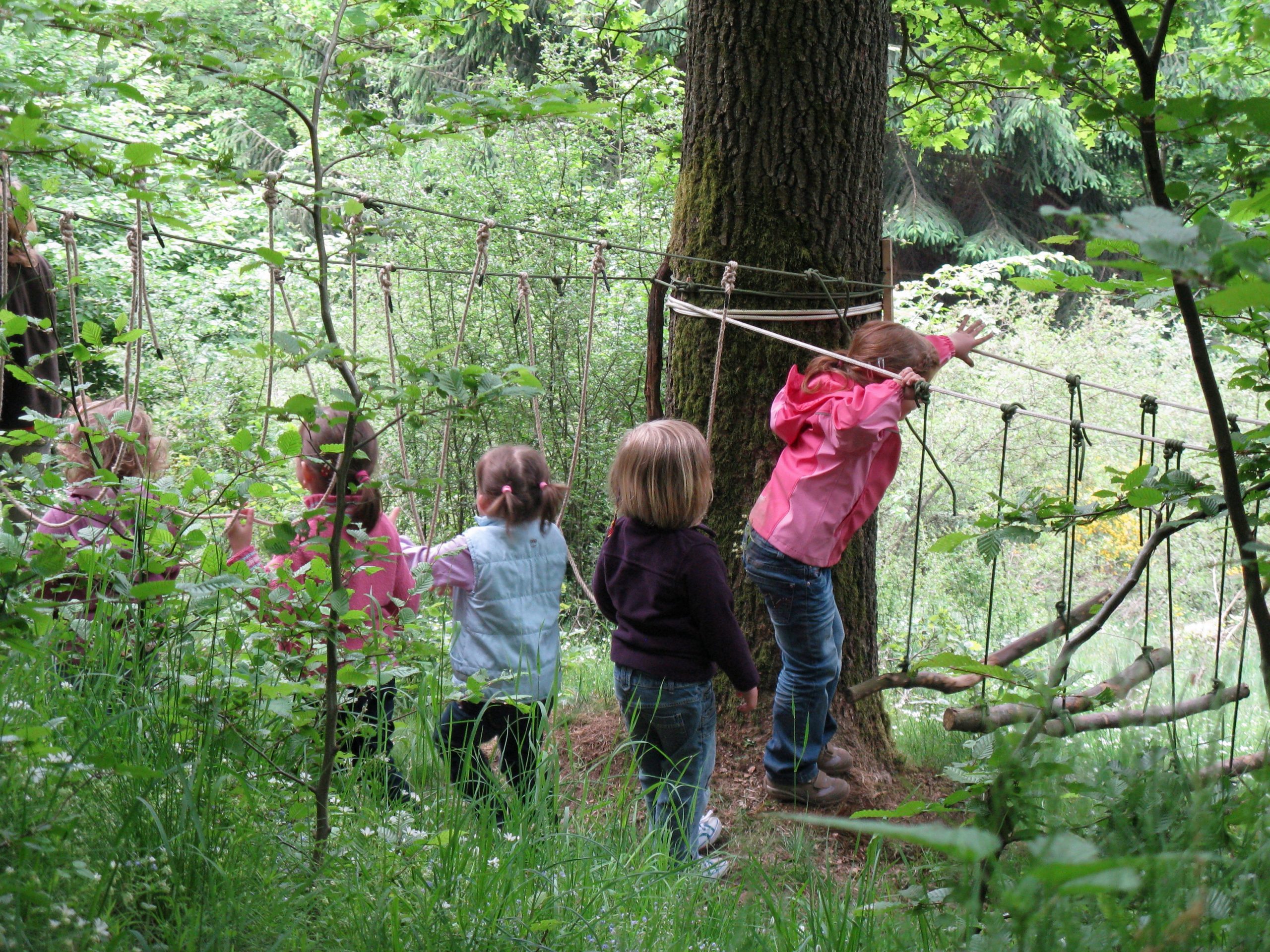 Kinderwald MK – Bild 6