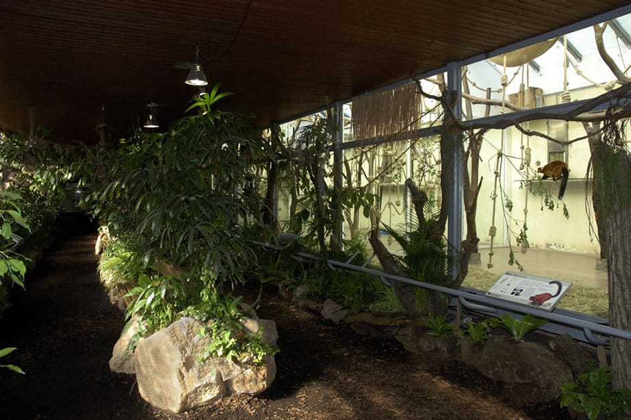 Terrarium & Insektarium – Bild 2