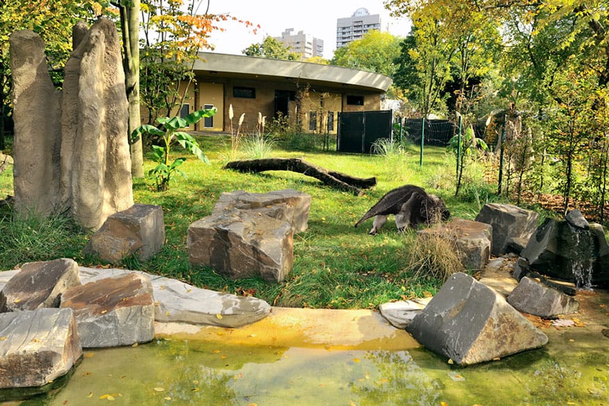 Terrarium & Insektarium – Bild 5