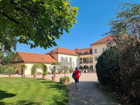 Neckarwiese Ladenburg – Bild 4