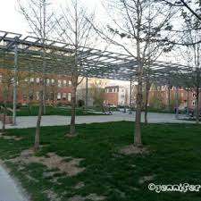 Massey Grove Park – Bild 6