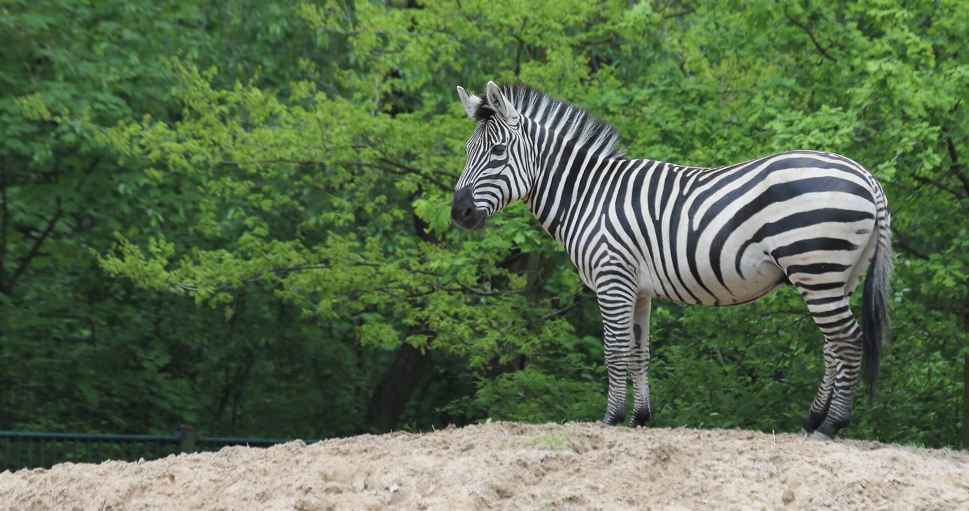 Tierpark Cottbus – Bild 5