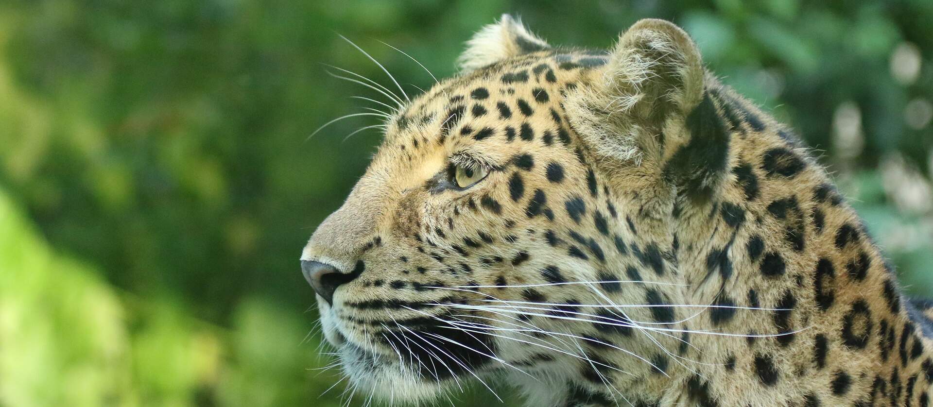 Tierpark Cottbus – Bild 6