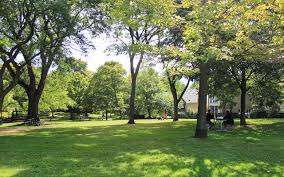 Wellesley Park – Bild 1