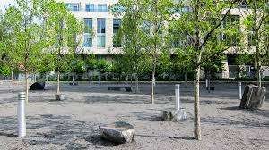 Wellesley Park – Bild 4