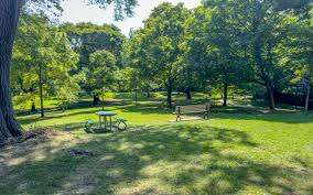 Wellesley Park – Bild 6