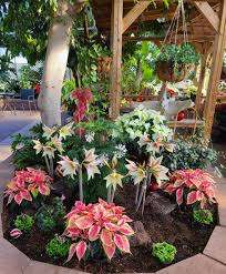 Regina Floral Conservatory – Bild 4