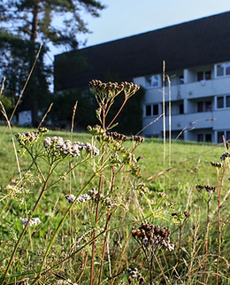 BCI BegegnungsCampus Immenreuth – Bild 2