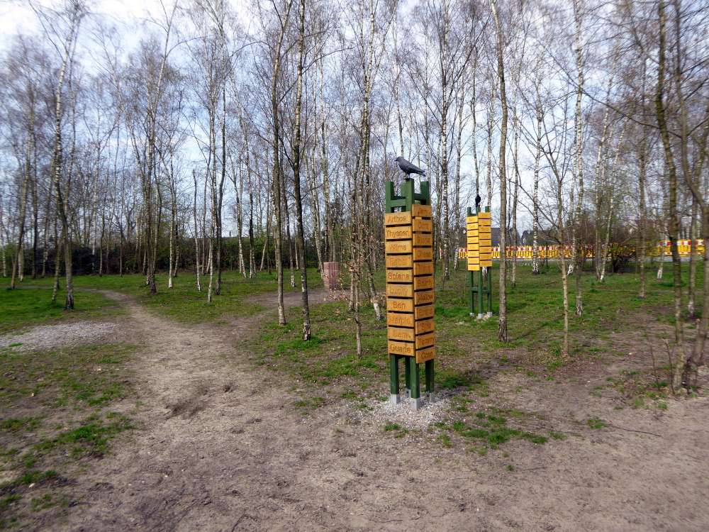 Hundewiese Ickern – Bild 2