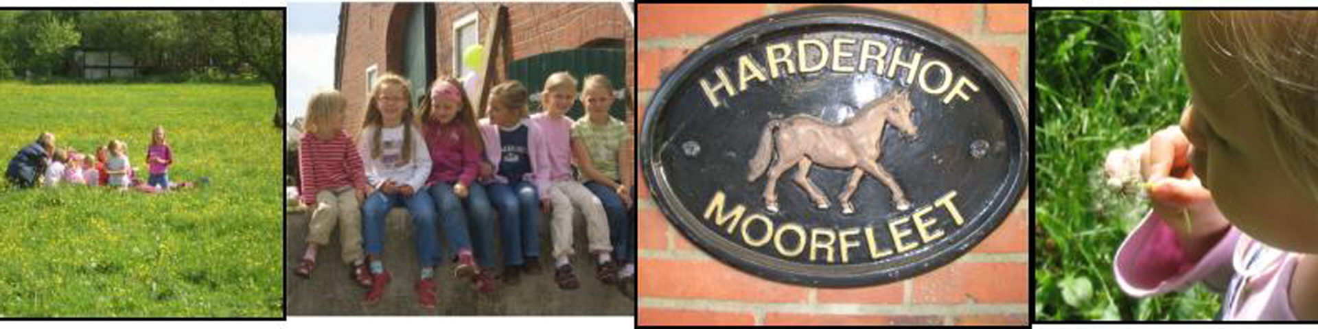 Harderhof – Bild 5