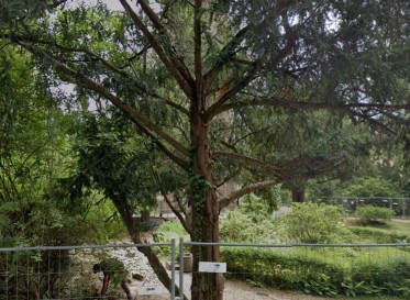 Park am Lutherplatz Meißen - Cölln – Bild 5