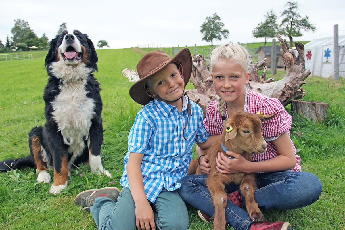 Ferienhof Hirschfeld – Bild 5