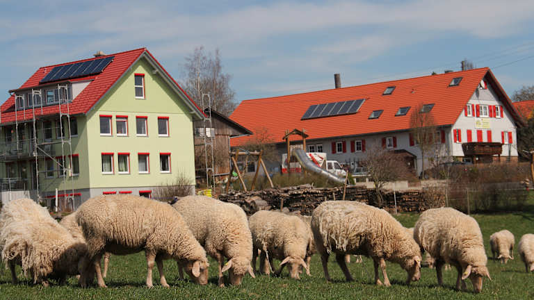 Ferienhof Hirschfeld – Bild 6