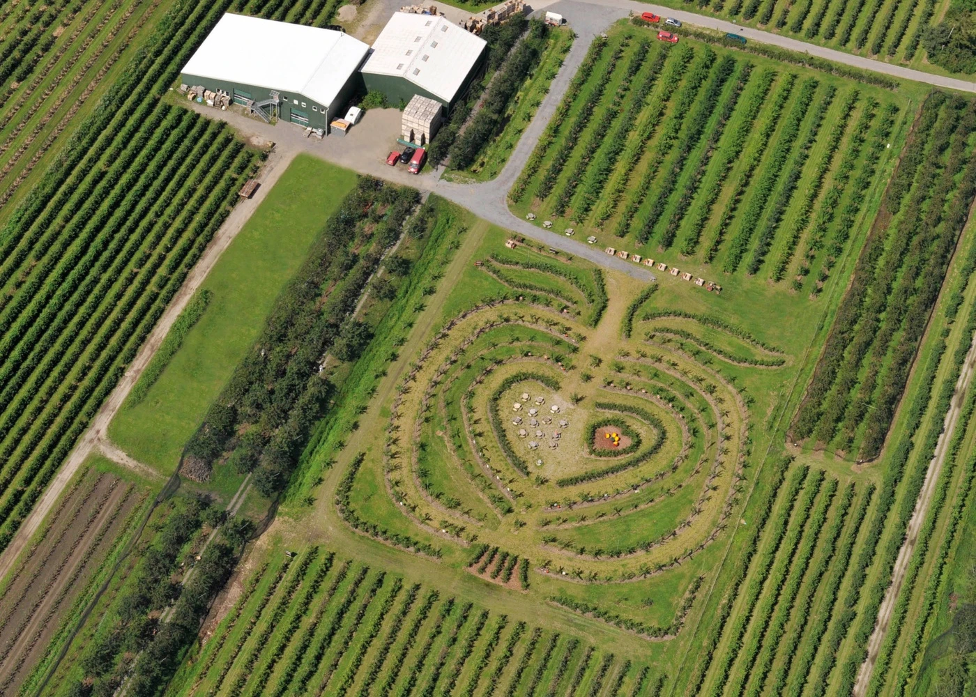 Herzapfelhof Lühs – Bild 3