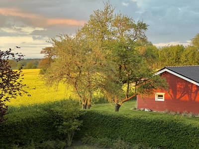 Ferien-Holzhaus auf Hof Schackenkamp – Bild 1