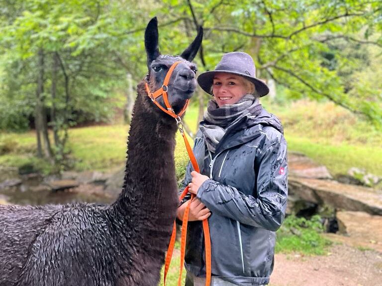 Alpakawanderung Kopphof – Bild 1