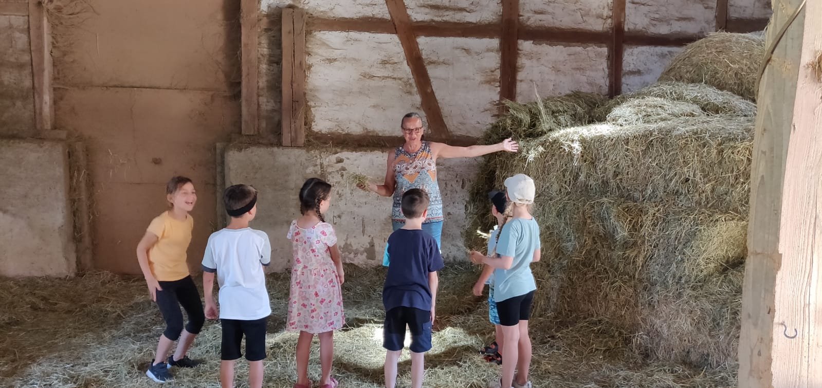 Kindergeburtstag auf dem Martinshof – Bild 3