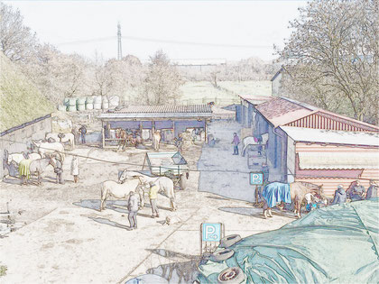 Ramona Burmester - Erlebnisbauernhof Burmester – Bild 6