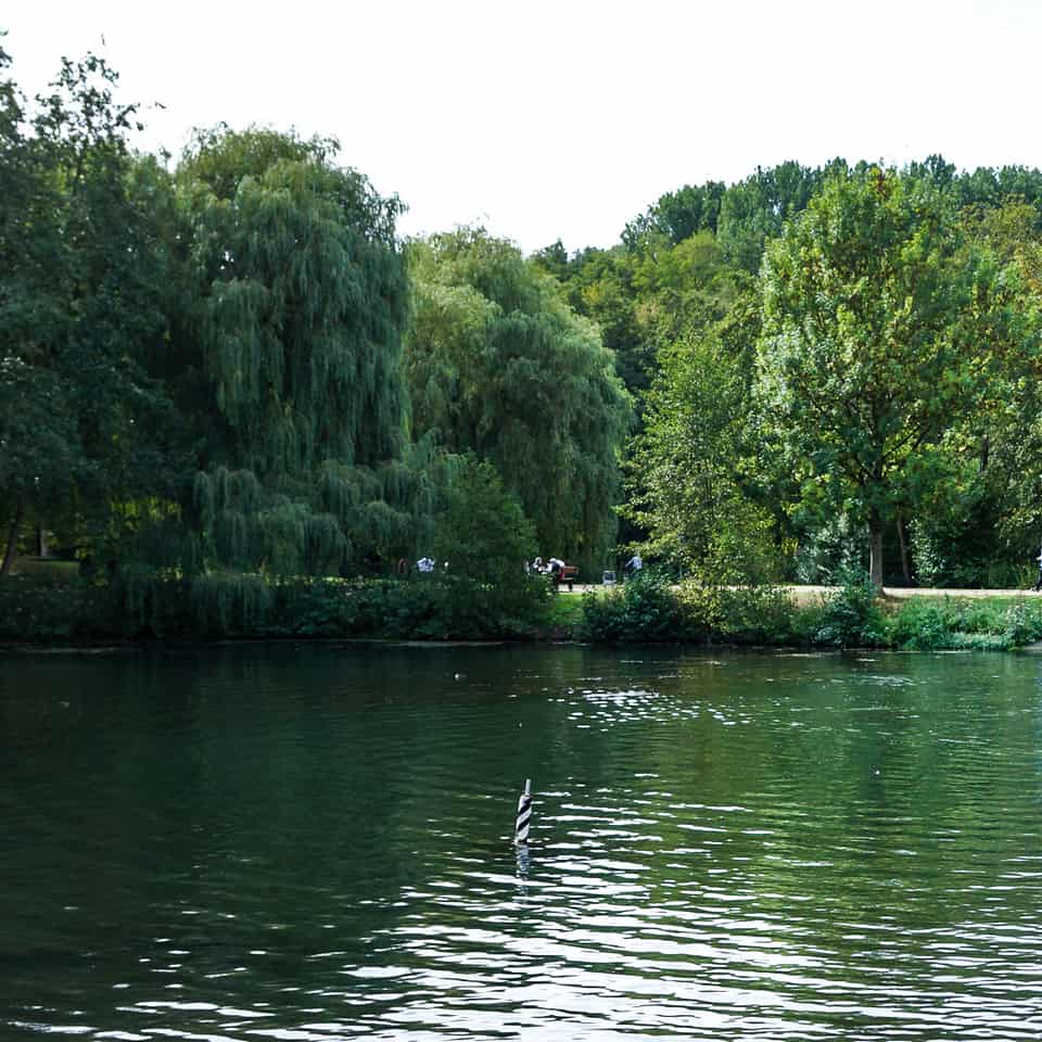 Bresgespark – Bild 2