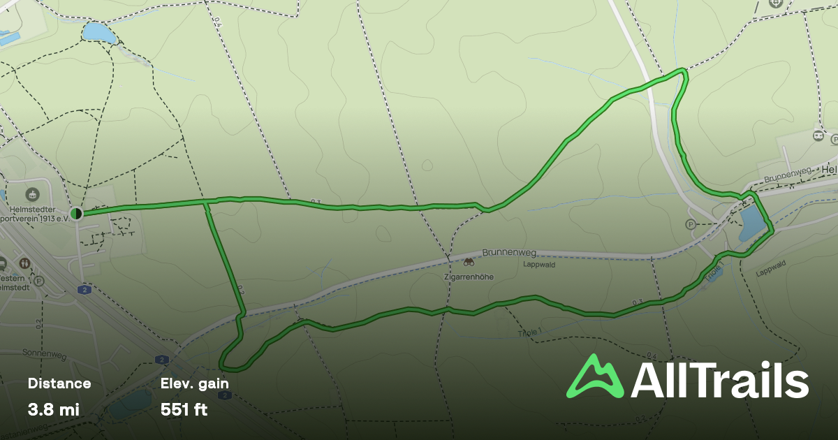 Waldschaukel – Bild 2