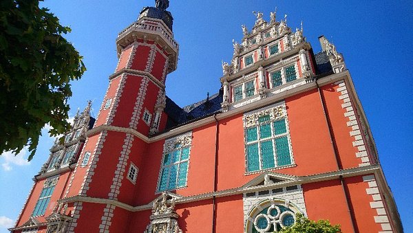 Waldschaukel – Bild 4