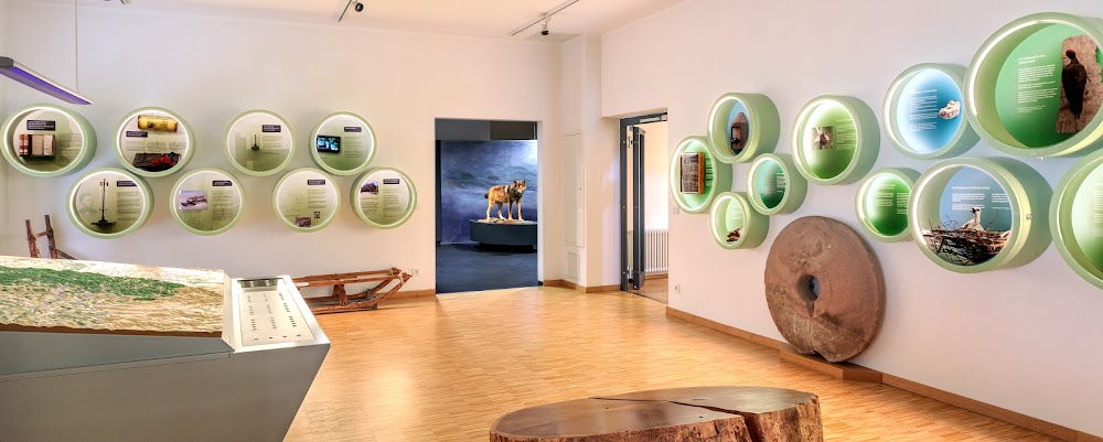 Pfalzmuseum für Naturkunde - POLLICHIA-Museum – Bild 3