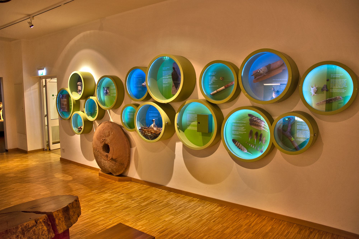 Pfalzmuseum für Naturkunde - POLLICHIA-Museum – Bild 5