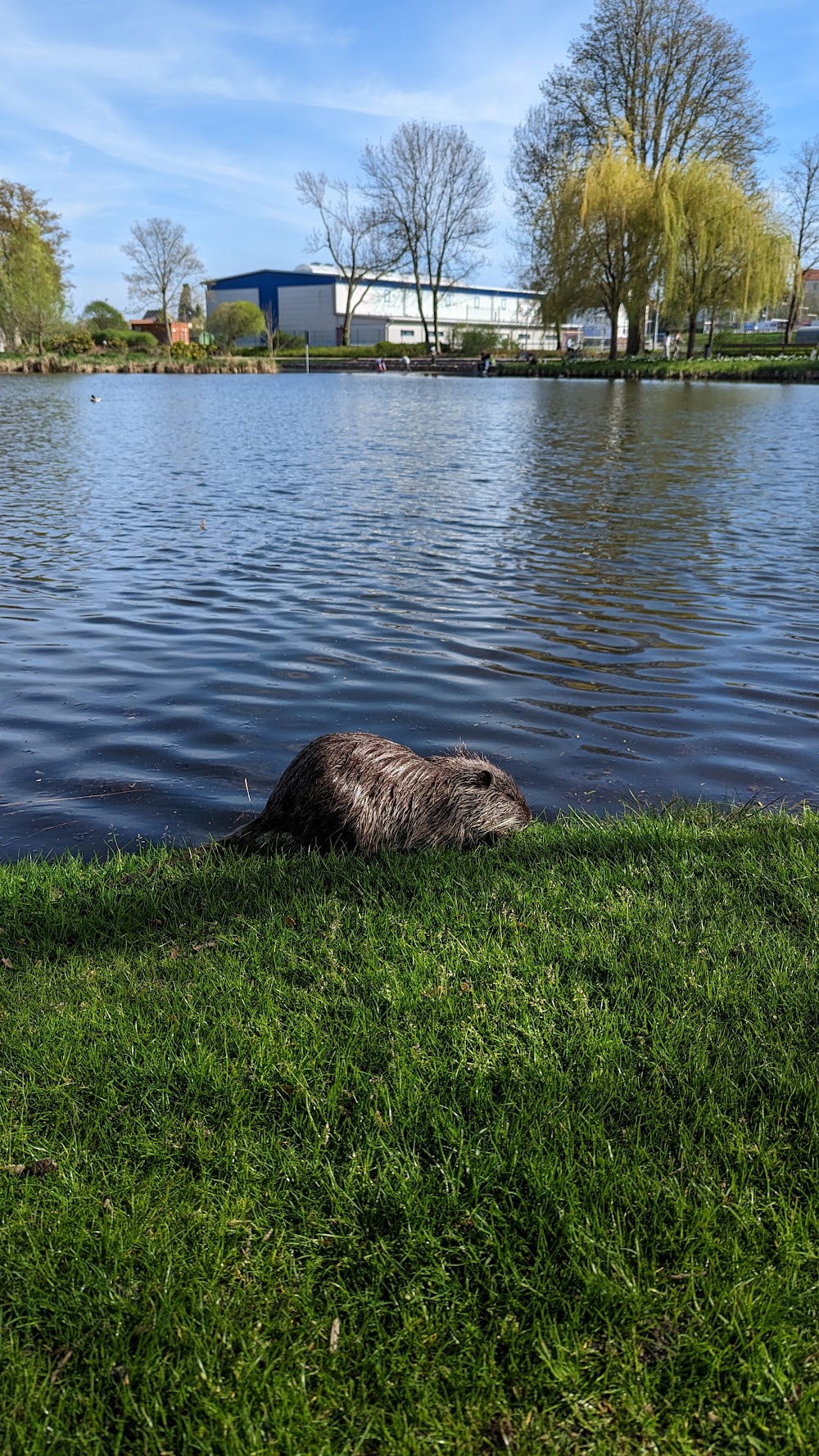 Flickschupark - Tor zur Landschaft – Bild 1