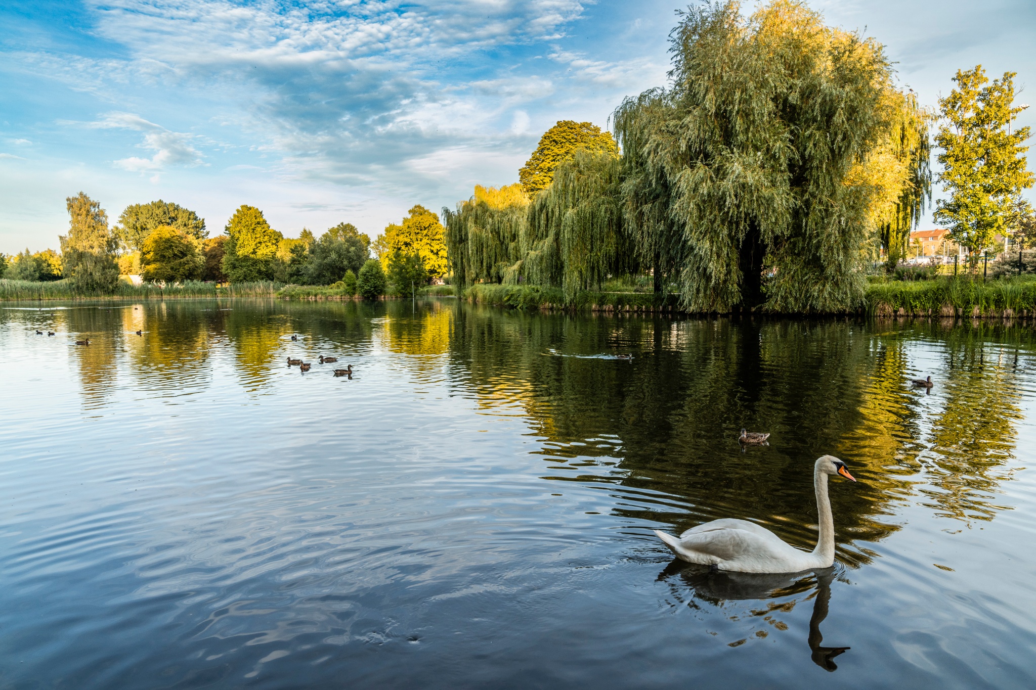 Flickschupark - Tor zur Landschaft – Bild 4