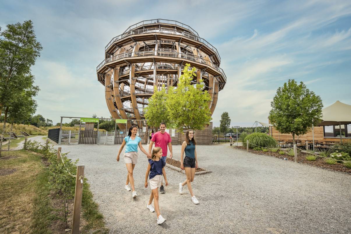 inMotion PARK Seenland GmbH – Bild 3