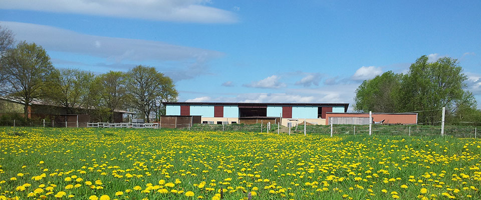 Der Hof e. V. – Bild 2