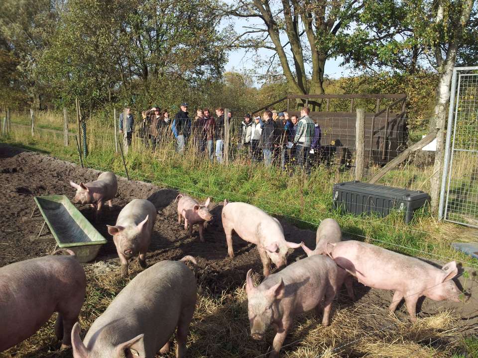 Der Hof e. V. – Bild 6