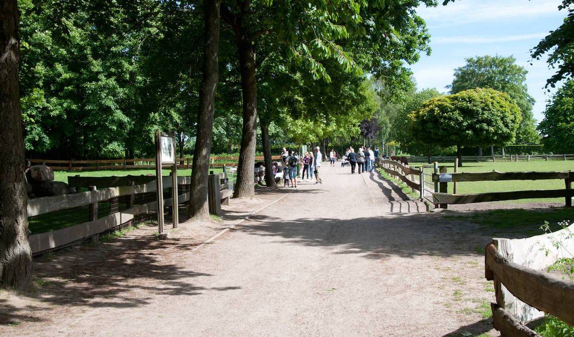 Wildpark Schwentinental – Bild 1