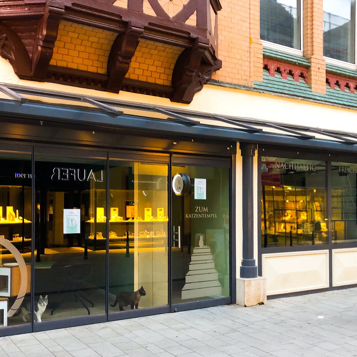 Katzentempel Minden – Bild 2