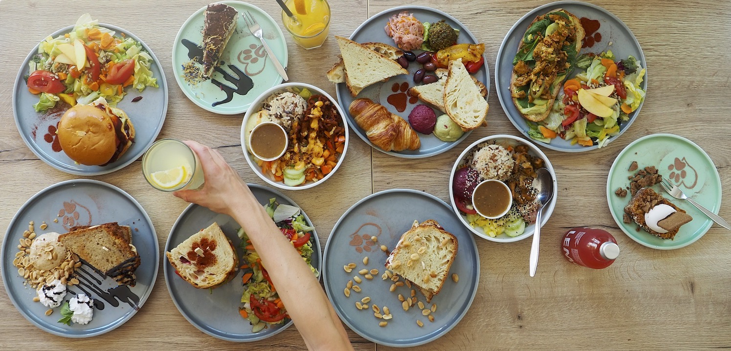 Katzentempel Minden – Bild 3