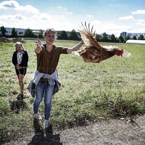 Birkenhof – Bild 2