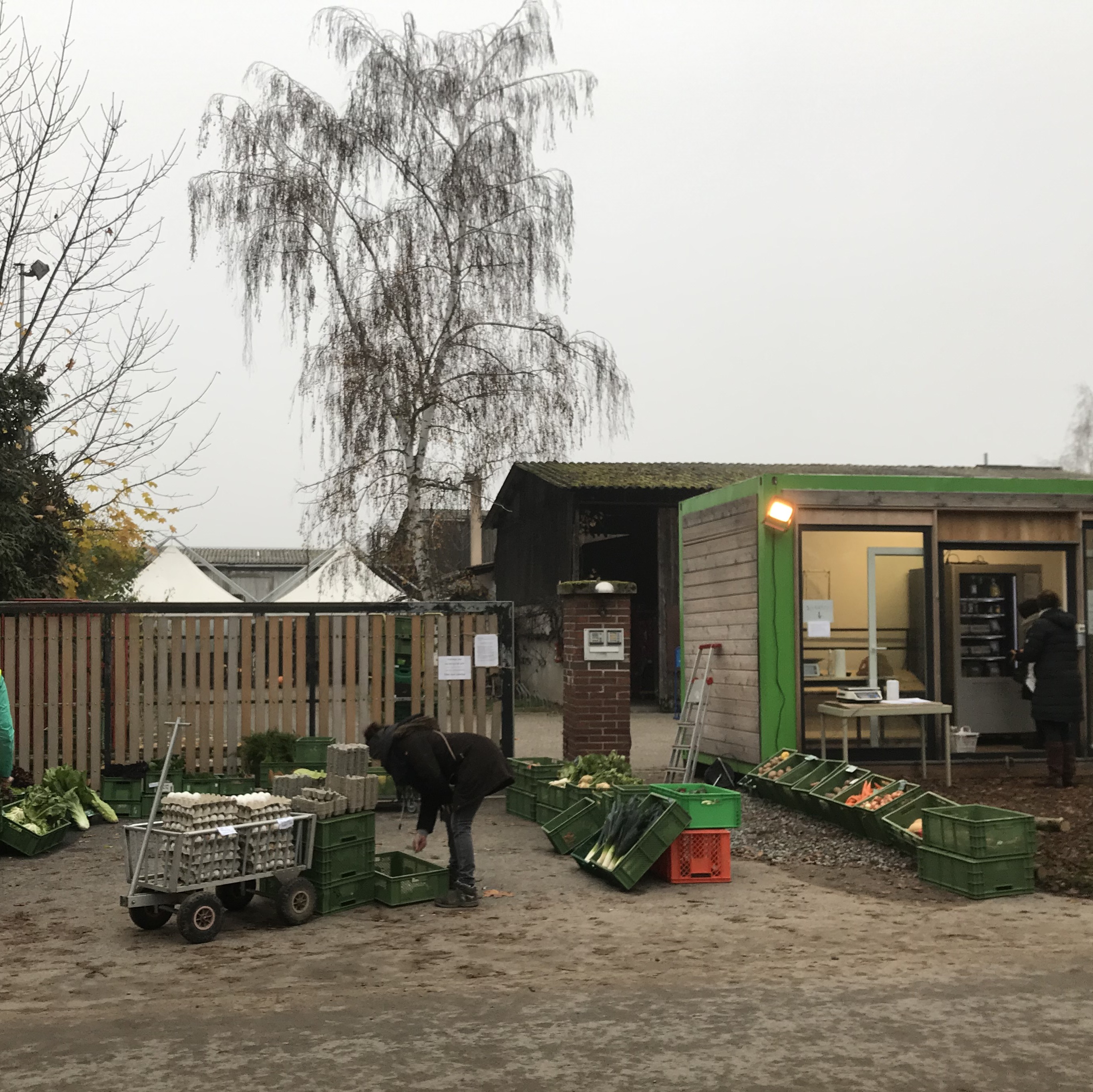 Birkenhof – Bild 3