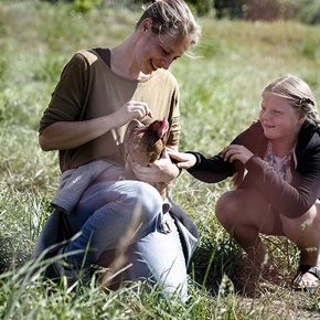 Birkenhof – Bild 6