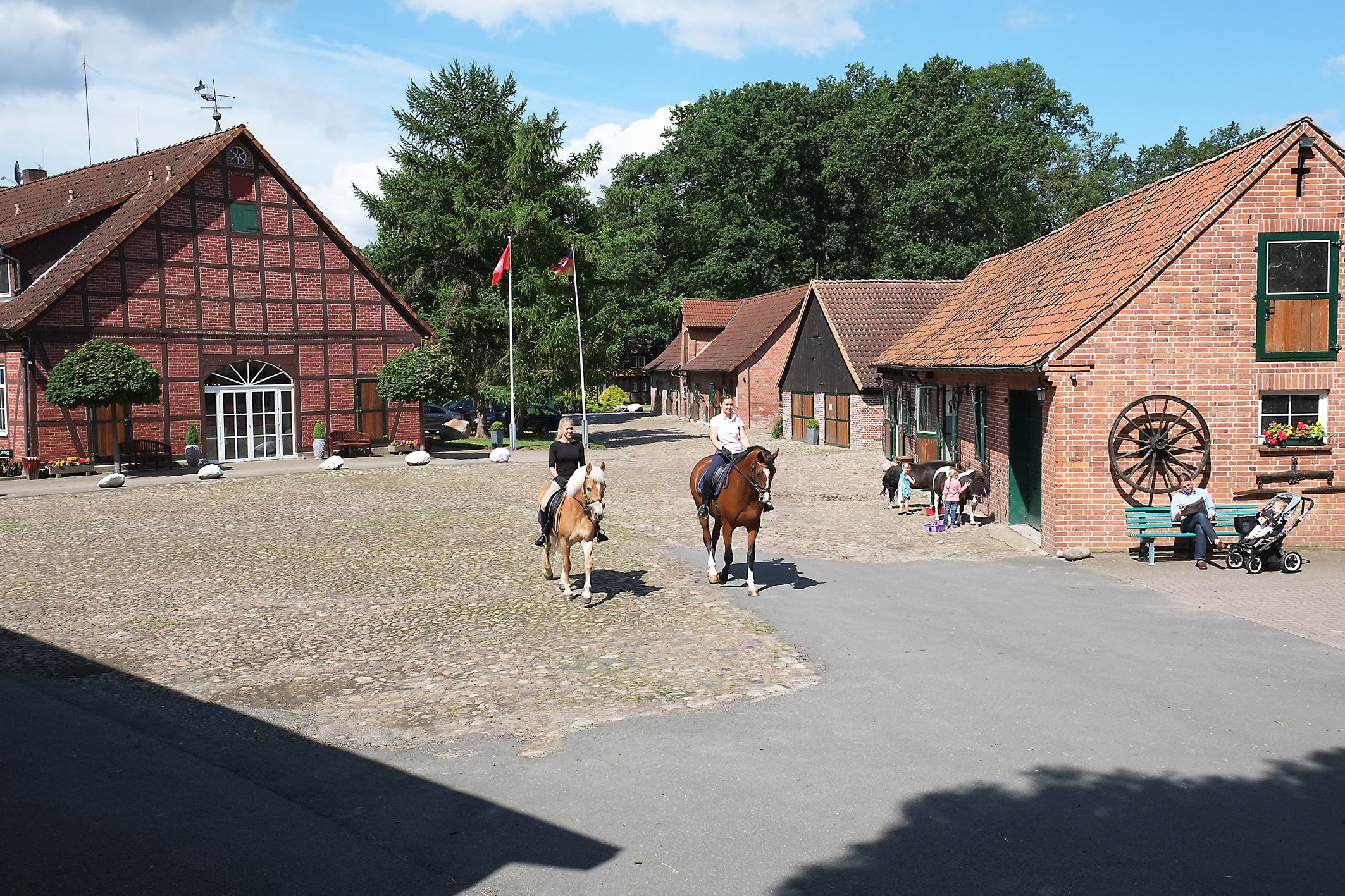 Hof Springhorn – Bild 2