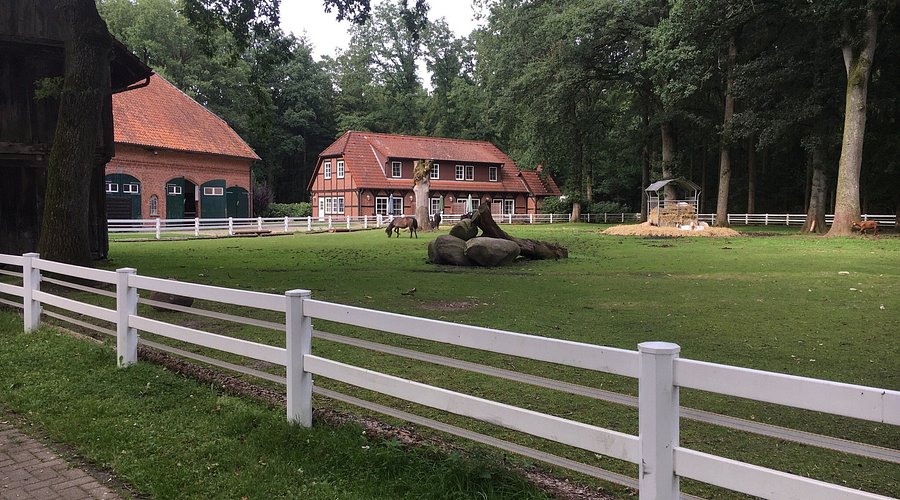 Hof Springhorn – Bild 3